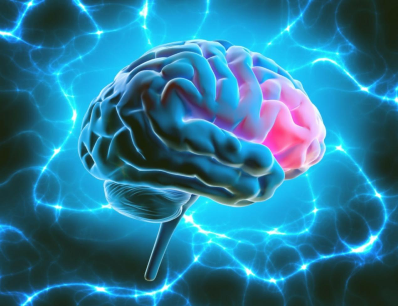 Praktische Projektarbeit und Code-Implementierungen in der Lernumgebung