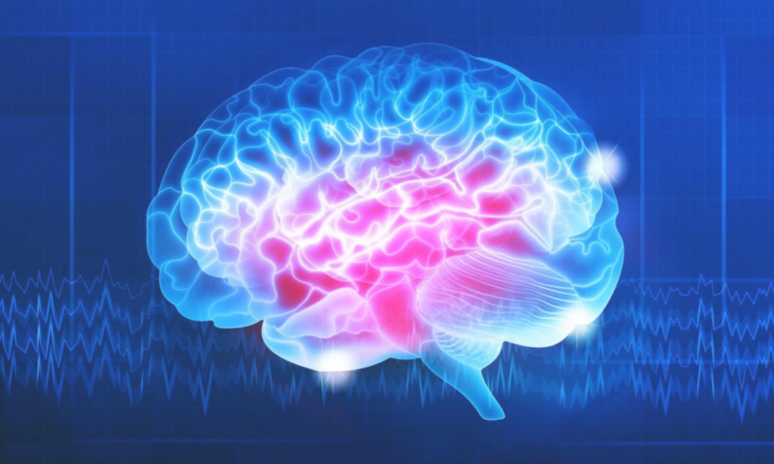 Interaktive Übungen und Quizze